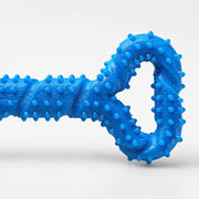 PawStars V31 | blue | vue studio 3