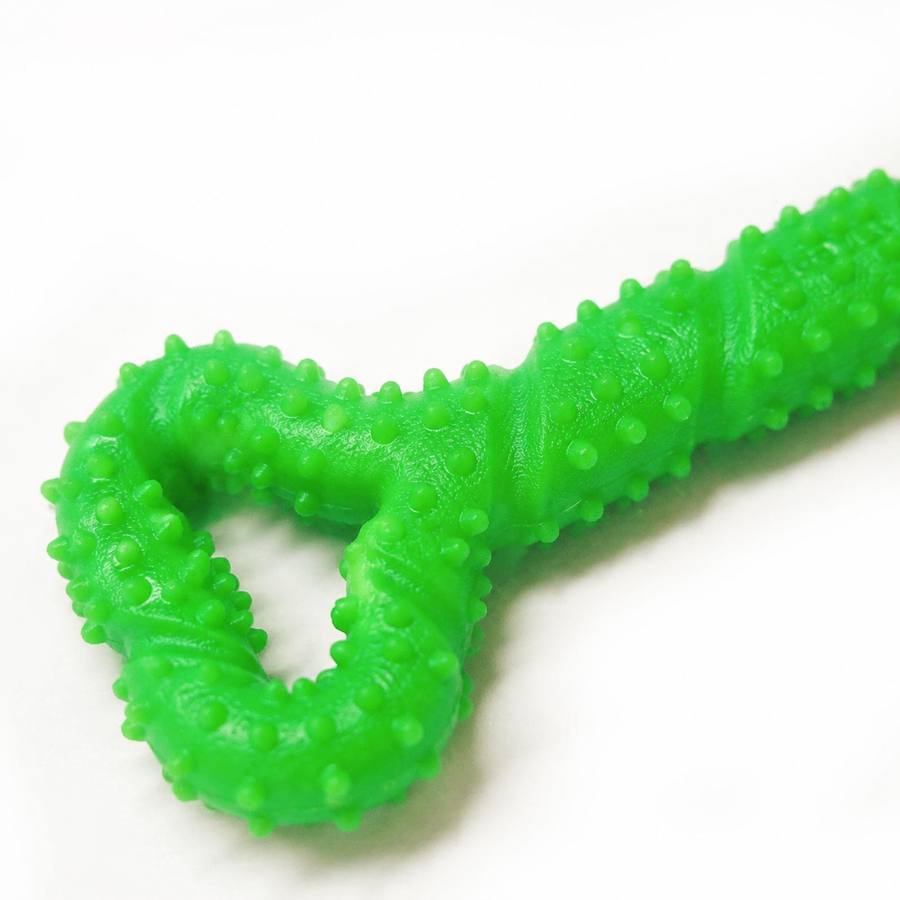 PawStars V31 | green | vue studio 3
