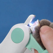 PawStars V31 | led-light-1 | vue studio 3