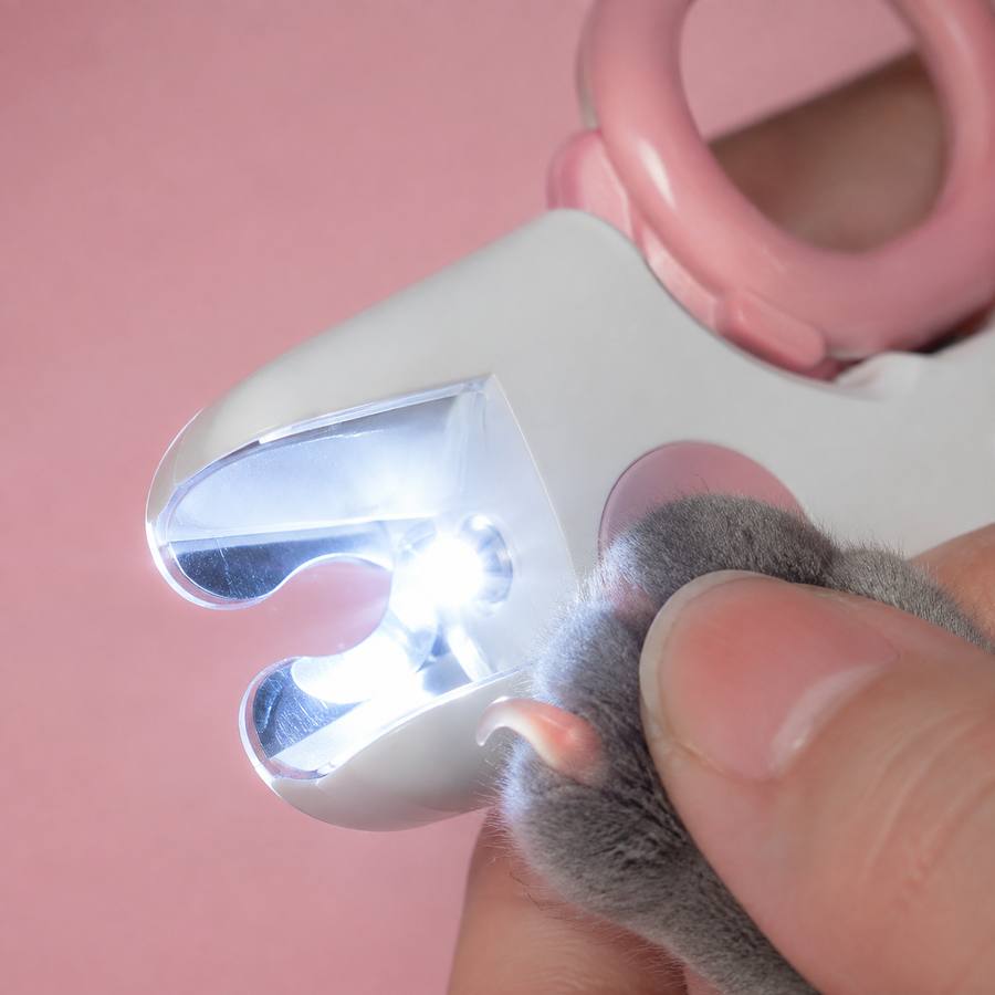 PawStars V31 | led-light-2 | vue studio 3