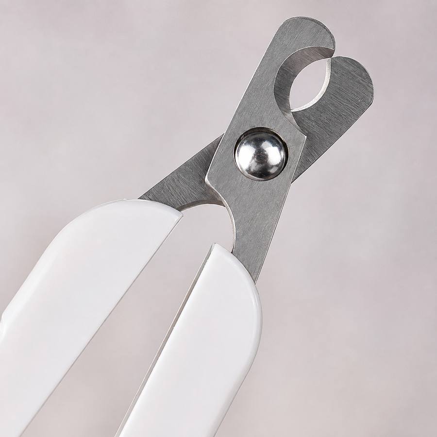 PawStars V31 | no-led-light | vue studio 3