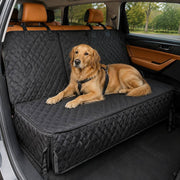 PawStars V31 | black-with-zipper | vue studio 4