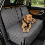PawStars V31 | grey-with-zipper | vue studio 4