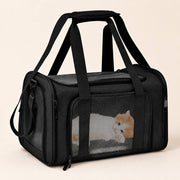 PawStars V31 | black | vue studio 1