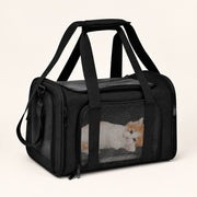 PawStars V31 | black | vue studio 2