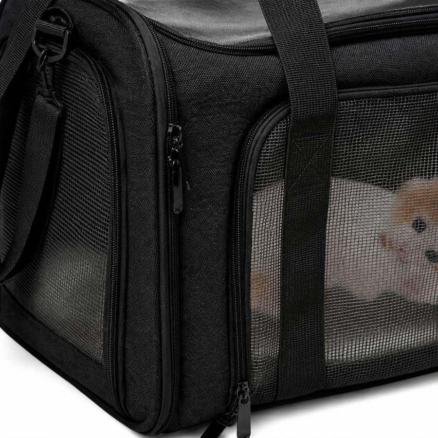 PawStars V31 | black | vue studio 3