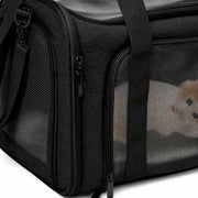 PawStars V31 | black | vue studio 3