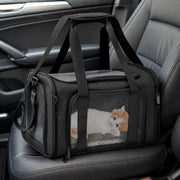 PawStars V31 | black | vue studio 4