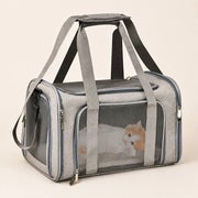 PawStars V31 | gray | vue studio 1