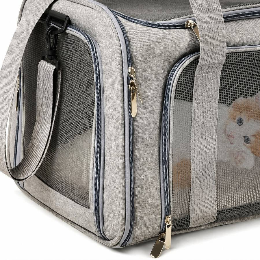 PawStars V31 | gray | vue studio 3