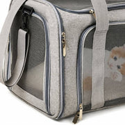 PawStars V31 | gray | vue studio 3