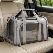 PawStars V31 | gray | vue studio 4