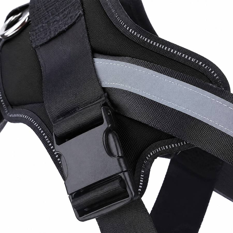 PawStars V31 | black | vue studio 3