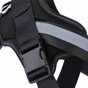 PawStars V31 | black | vue studio 3