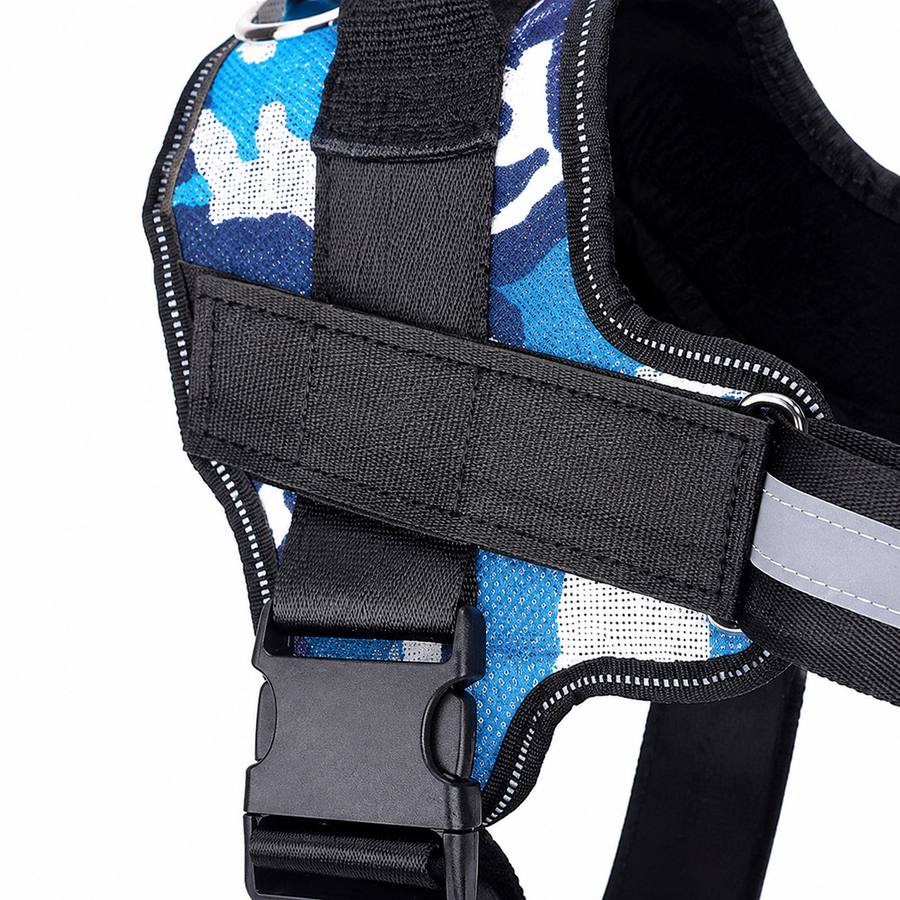 PawStars V31 | blue-camouflage | vue studio 3
