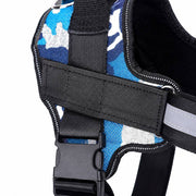 PawStars V31 | blue-camouflage | vue studio 3