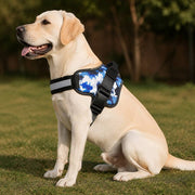 PawStars V31 | blue-camouflage | vue studio 4