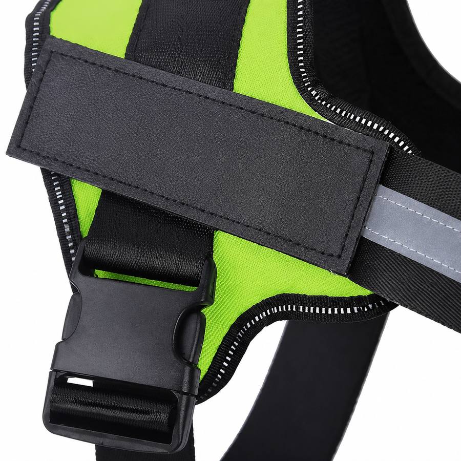 PawStars V31 | green | vue studio 3
