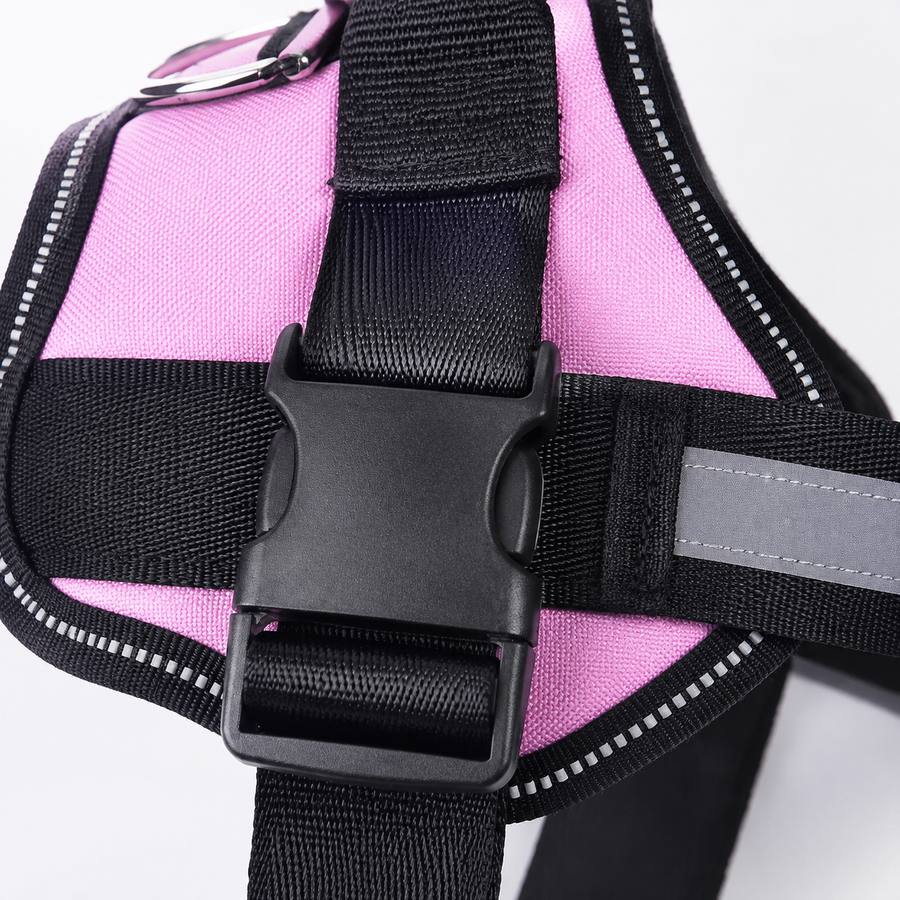 PawStars V31 | pink | vue studio 3