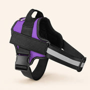 PawStars V31 | purple | vue studio 1