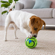 PawStars V31 | 14cm-with-box | vue studio 4