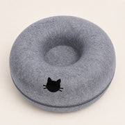 PawStars V31 | dark-grey-with-hole | vue studio 1