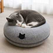 PawStars V31 | dark-grey-with-hole | vue studio 4