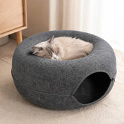 PawStars V31 | dark-grey | vue studio 4