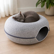 PawStars V31 | light-grey | vue studio 4
