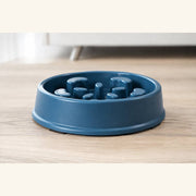 PawStars V31 | blue | vue studio 4