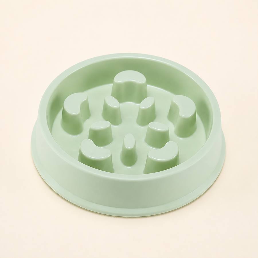 PawStars V31 | light-green | vue studio 1