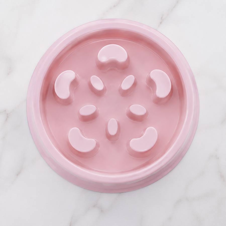 PawStars V31 | pink | vue studio 3