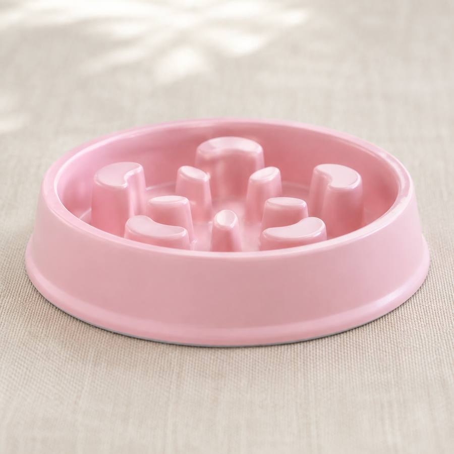 PawStars V31 | pink | vue studio 4