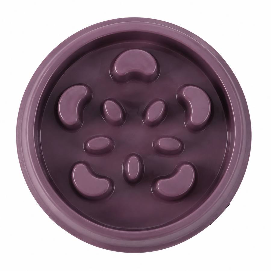 PawStars V31 | red | vue studio 3