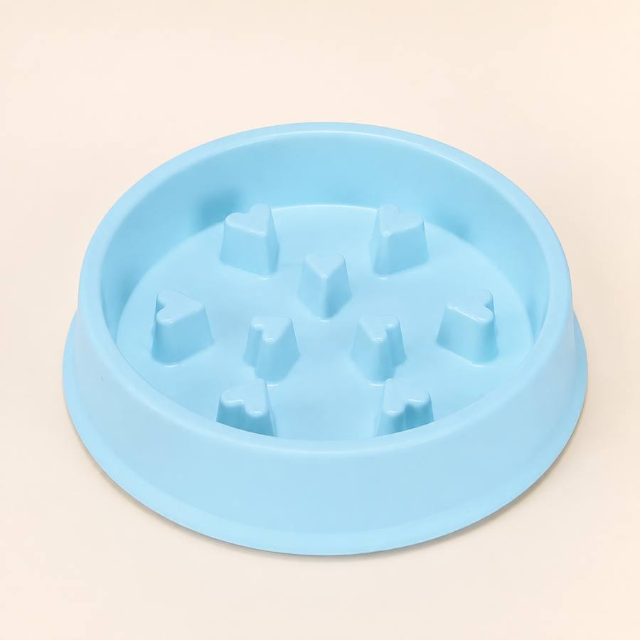 PawStars V31 | sky-blue-008-heart | vue studio 1
