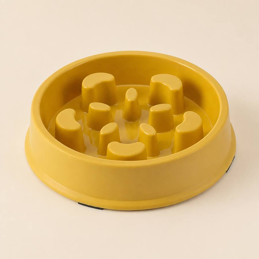 PawStars V31 | yellow | vue studio 1