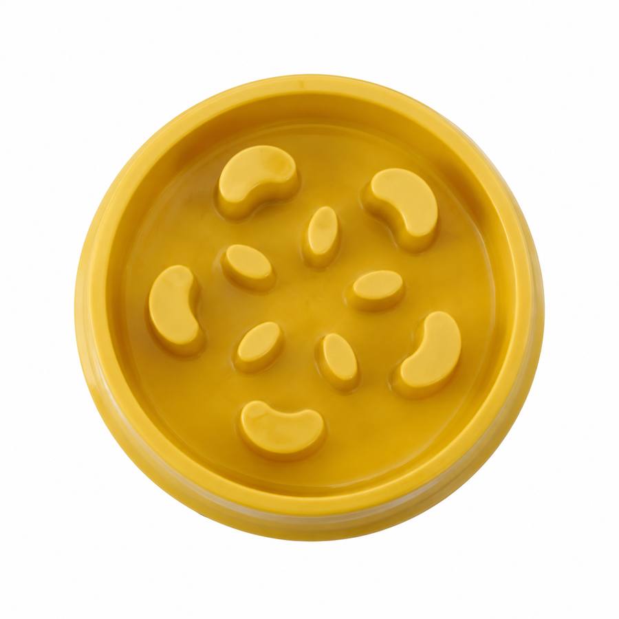 PawStars V31 | yellow | vue studio 3