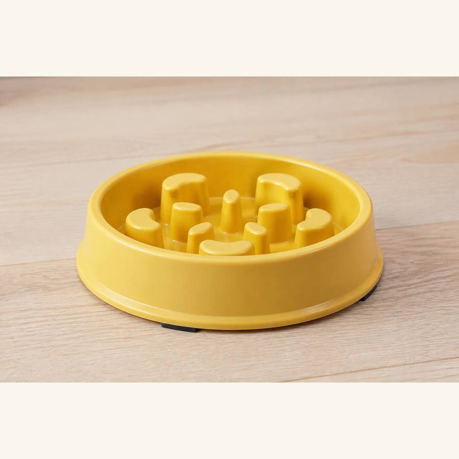 PawStars V31 | yellow | vue studio 4