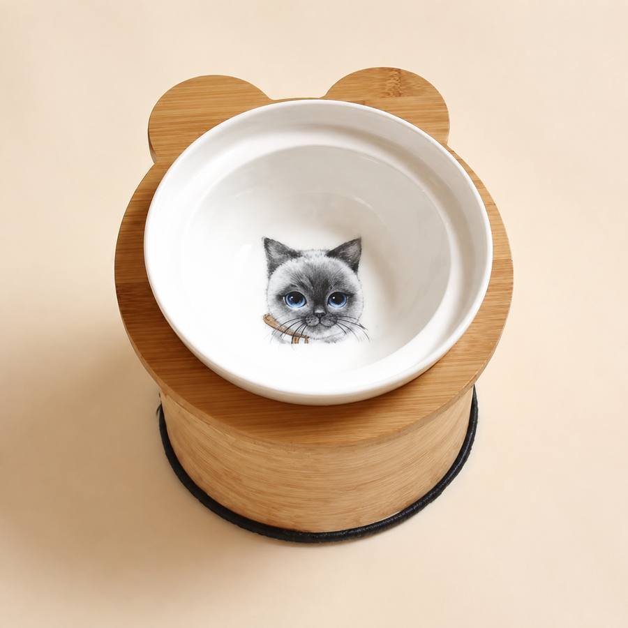 PawStars V31 | as-picture7 | vue studio 1