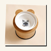 PawStars V31 | as-picture7 | vue studio 2