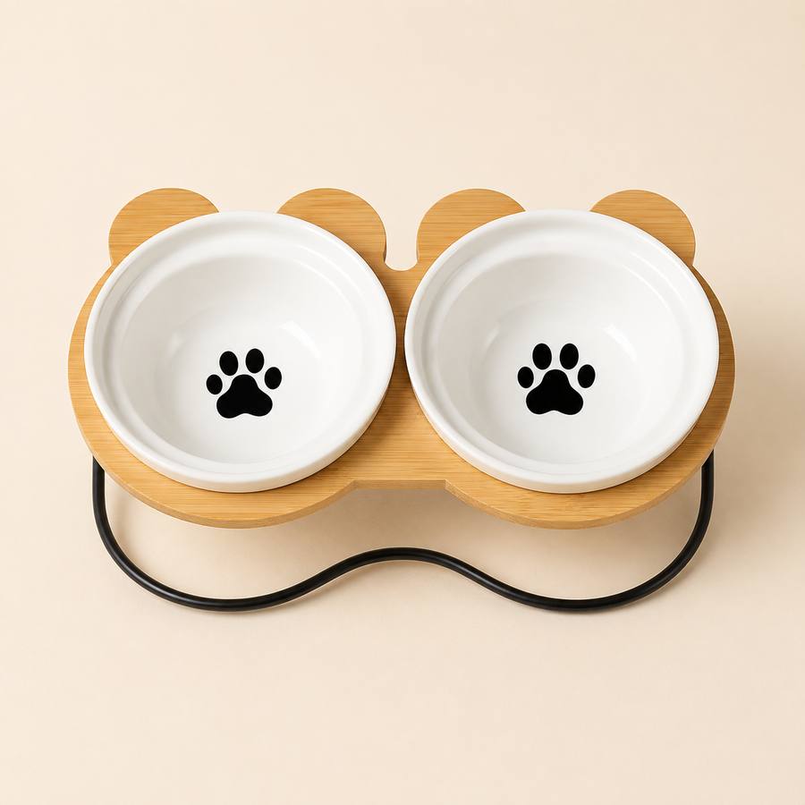 PawStars V31 | black-doupaw | vue studio 1