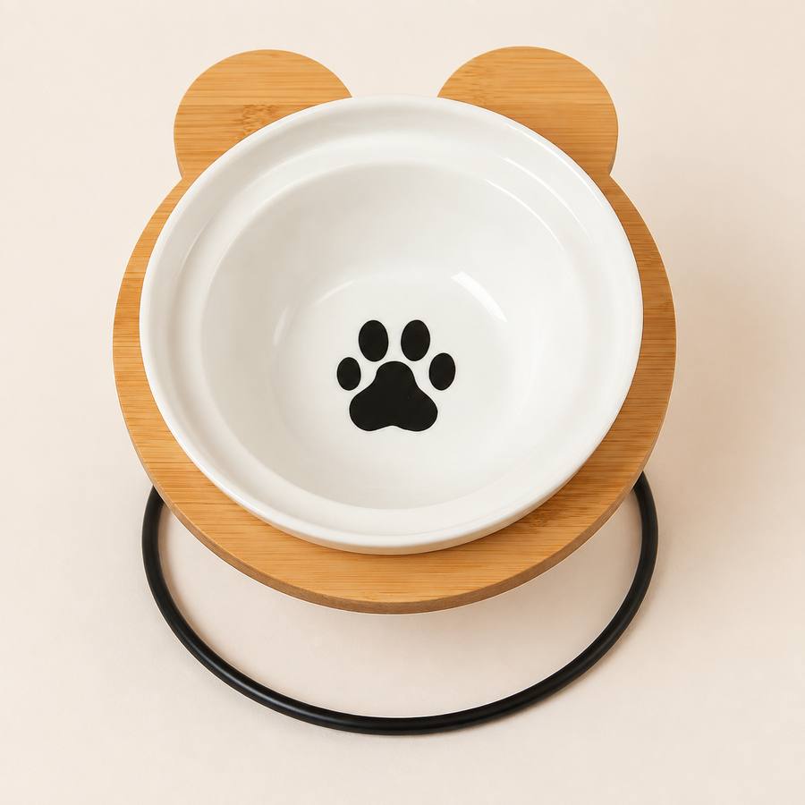 PawStars V31 | black-paw1 | vue studio 1