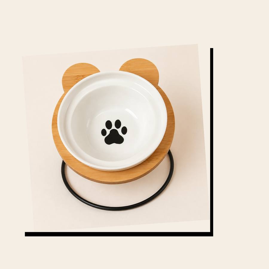 PawStars V31 | black-paw1 | vue studio 3