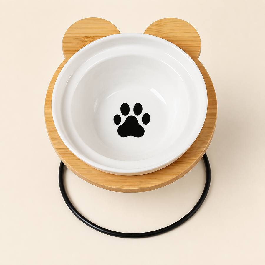 PawStars V31 | black-paw | vue studio 1