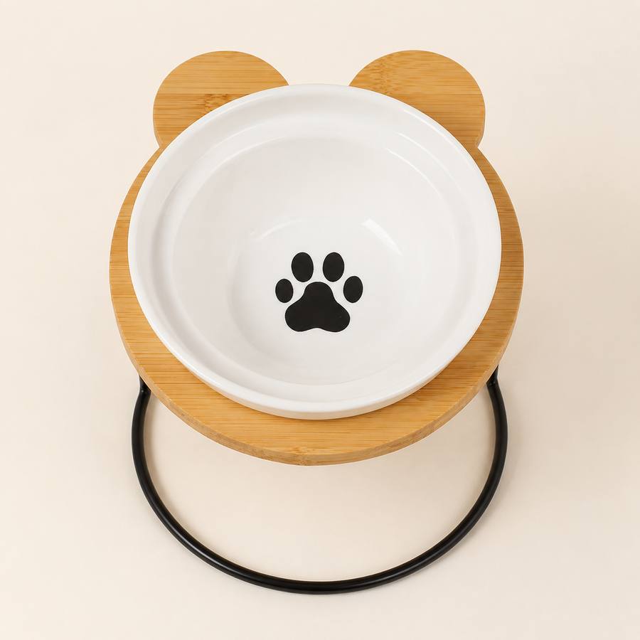 PawStars V31 | black-paw | vue studio 2