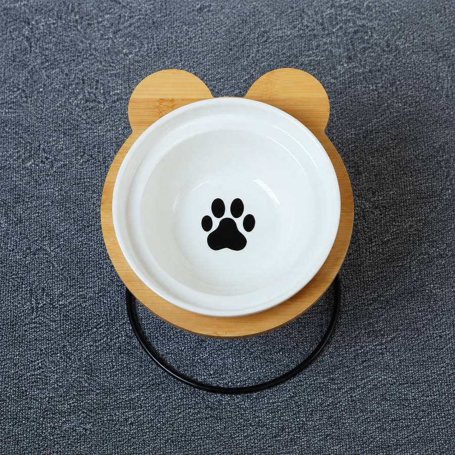PawStars V31 | black-paw | vue studio 3