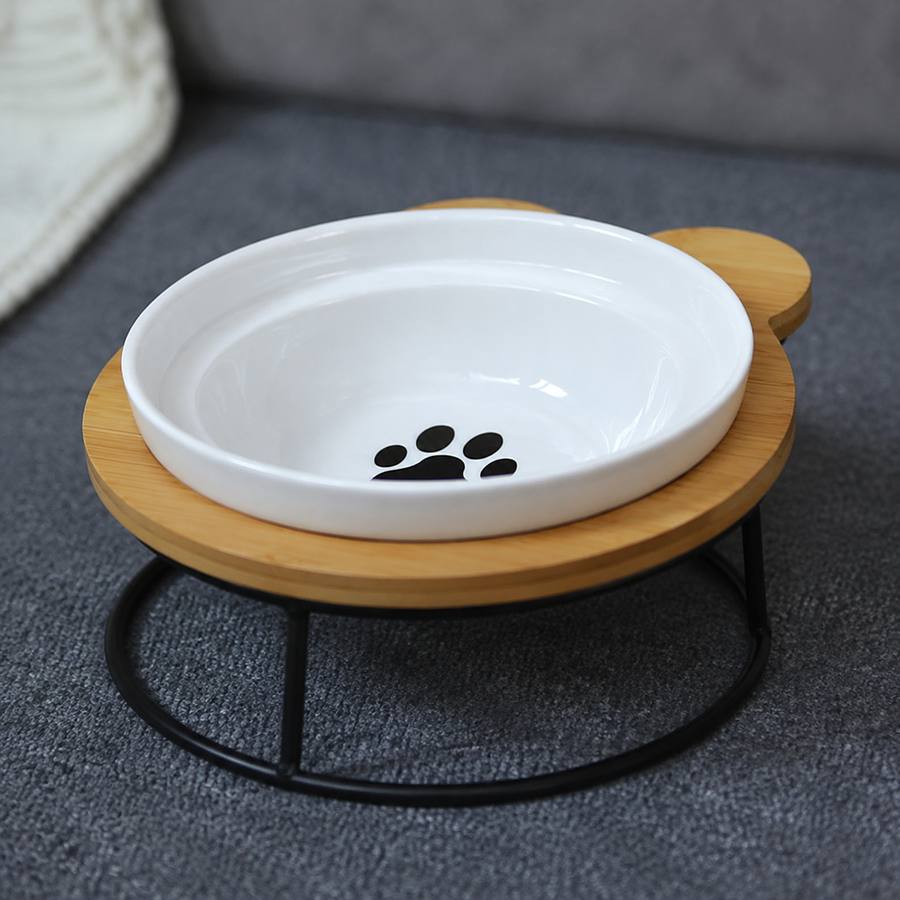 PawStars V31 | black-paw | vue studio 4