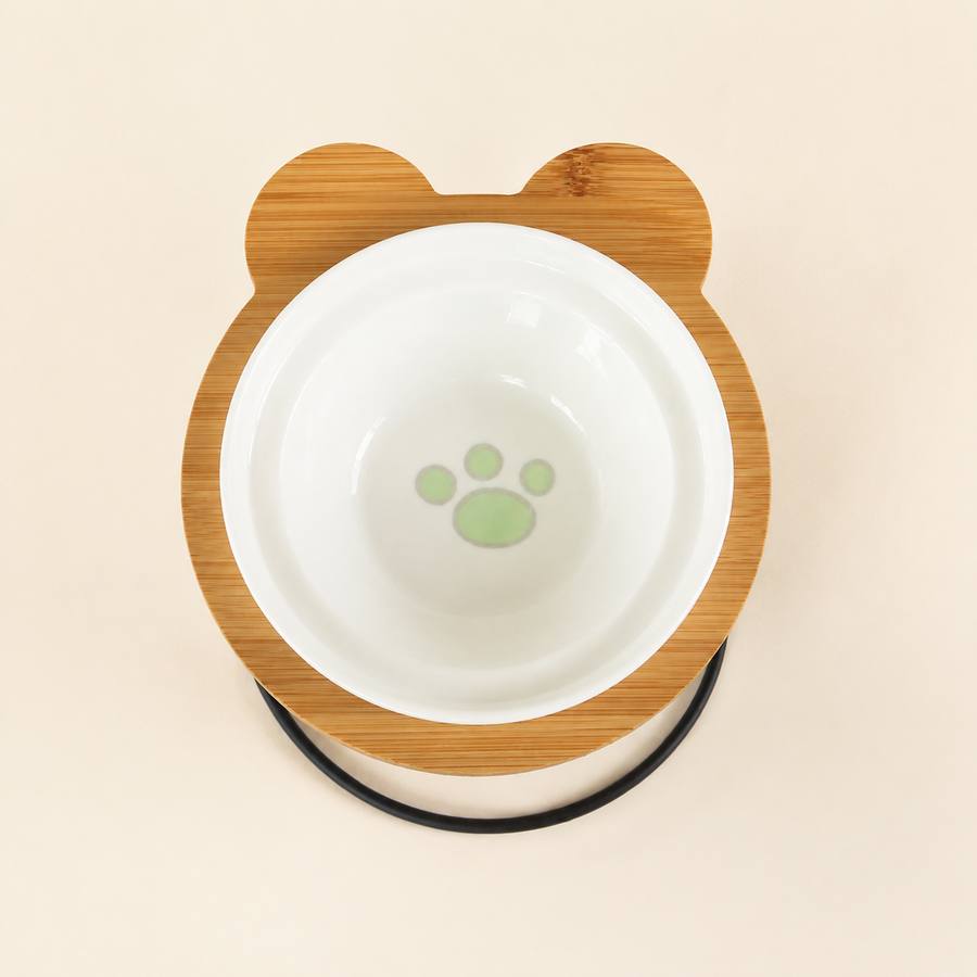 PawStars V31 | g-paw | vue studio 1