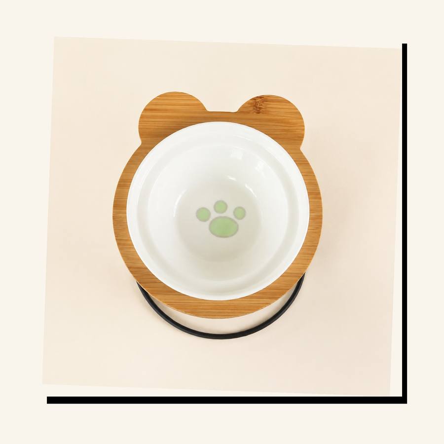 PawStars V31 | g-paw | vue studio 2