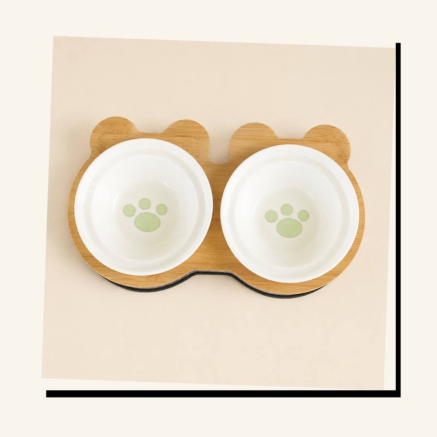PawStars V31 | green-paw | vue studio 2